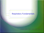 Resp.Fundamentals with Notes