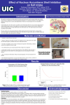 Effect of Nucleus Accumbens Shell Inhibition on Salt Intake