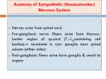 03. adrenergic drugs..