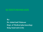 SCHISTOSOMIASIS_F - King Saud University Medical Student