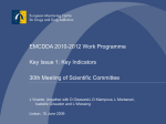 EMCDDA 2010-2012 Work Programme Key Issue 1: Key Indicators