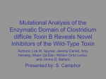 Mutational Analysis of the Enzymatic Domain of Clostridium difficile