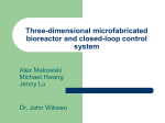 Three-dimensional microfabricated bioreactor and
