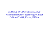 Identification of negative regulators in Candida albicans