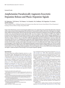 Amphetamine Paradoxically Augments Exocytotic Dopamine Release and Phasic Dopamine Signals