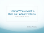 Finding Where MoRFs Bind on Partner Proteins The Reverse MoRF Predictor Jonathan Patsenker