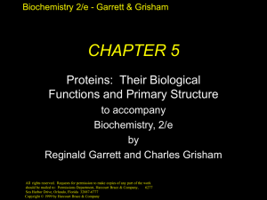 Chapter 5 Slides