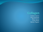 Collagen