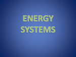 The 3 Energy Systems