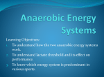 Anaerobic Energy Systems