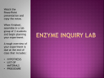 ENZYME ACTIVITY INQUIRY LAB