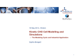 Kinetic CHO Cell Modelling and Simulations