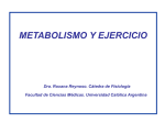 METABOLISMO Y EJERCICIO (PARTE 1) (946954)
