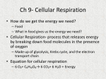 Ch 9- Cellular Respiration