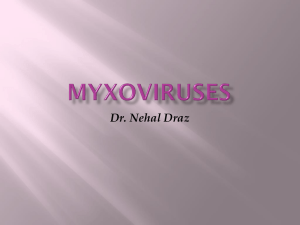 MYXOVIRUSES