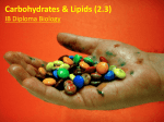 2_3 Slides - Lipids _ Carbs