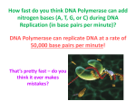 Chromosomal Mutations