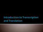 Introduction to Transcription and Translation