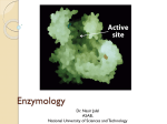 History of enzymology