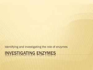 enzyme