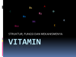 vitamin full - WordPress.com