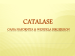 catalase ppt - WordPress.com