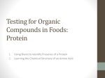 Polypeptide Chain Synthesis: A Paper Simulation