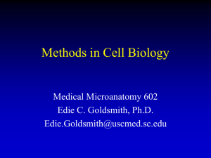 Methods in Cell Biology