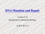 DNA Mutation and Repair