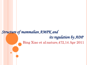 Structure of Mammalian AMPK and its regulation by ADP