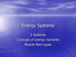 Fibre types