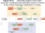 Figure 18-13