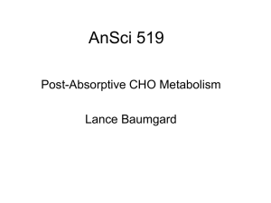 Baumgard Post absorptive CHO metabolism