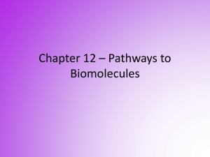 Chapter 12 - Pathways to Biomolecules