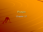 Protein