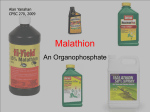 Organophosphate