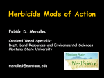 Herbicide Mode of Action - Montana IPM Center