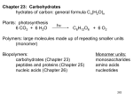 Carbohydrates