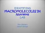 Macromolecule Lab