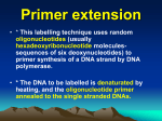 (1) End labelling