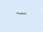 Proteins - Kaikoura High School