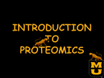 Proteomics Center University of Missouri