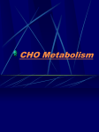 CHO Metabolism