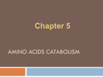 Amino acids catabolism