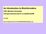 BioInformatics at FSU - whose job is it and why it needs