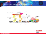 Analytical and Chromatography - Sigma