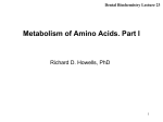 Metabolism of Amino Acids