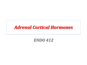 Adrenal Cortex