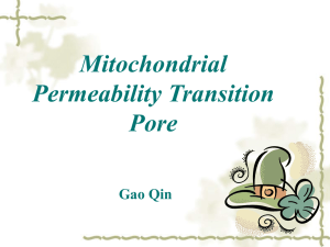 Mitochondrial permeability transition pore