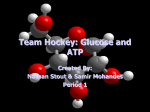 Team Hockey: Glucose and ATP